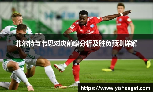 菲尔特与韦恩对决前瞻分析及胜负预测详解